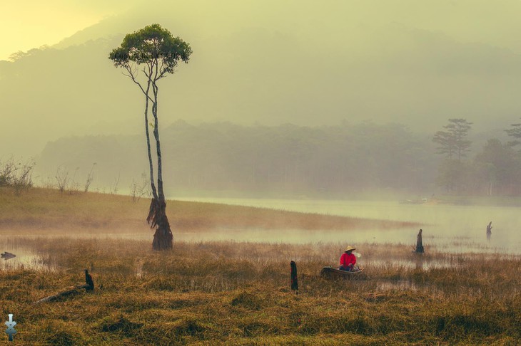 Hinh Anh Dep Da Lat Xuan Tung 1